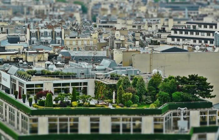 Progettazione giardini pensili