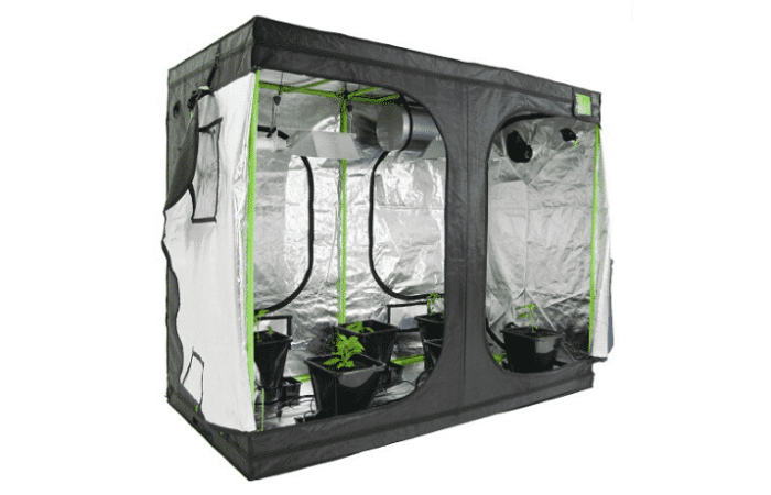 Giardinaggio indoor: come coltivare le piante con la luce artificiale